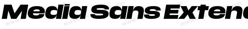 Media Sans Extended Black字体转换